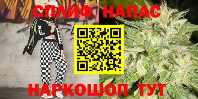 крисы Бузулук