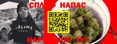 крисы Бузулук
