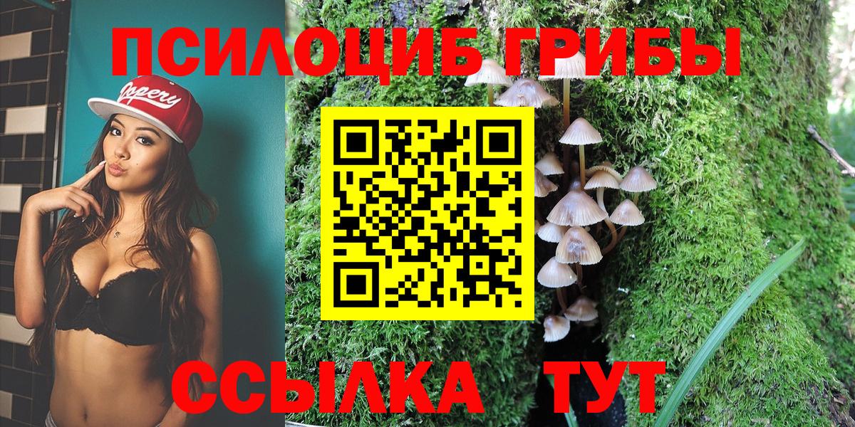 Псилоцибиновые грибы Psilocybine cubensis  Галлюциногенные грибы Cubensis  Вход с VPN  Тейково 